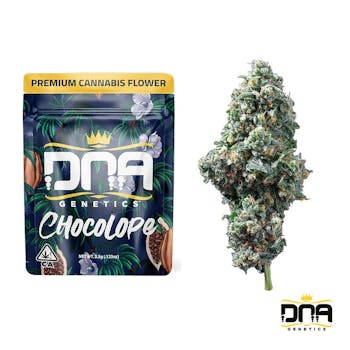 Chocolope | Bulk Flower